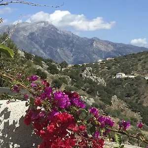 Loma Pelones 78 Viñuela